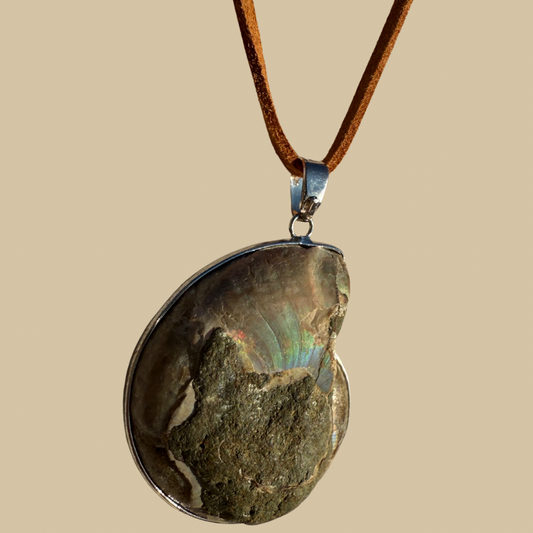 Ammonite Necklace with Leather Cord