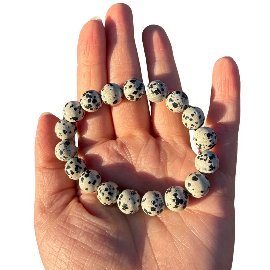 Dalmatian Stone (Jasper) stretchy bracelet