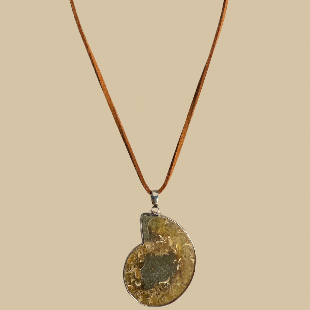 Ammonite Necklace with Leather Cord