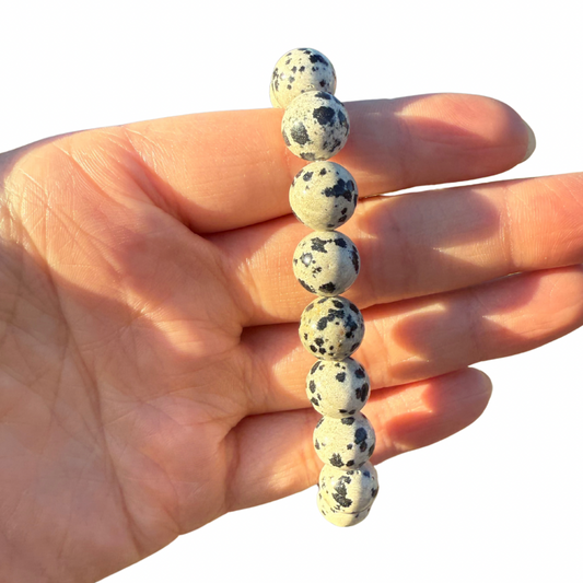 Dalmatian Stone (Jasper) stretchy bracelet