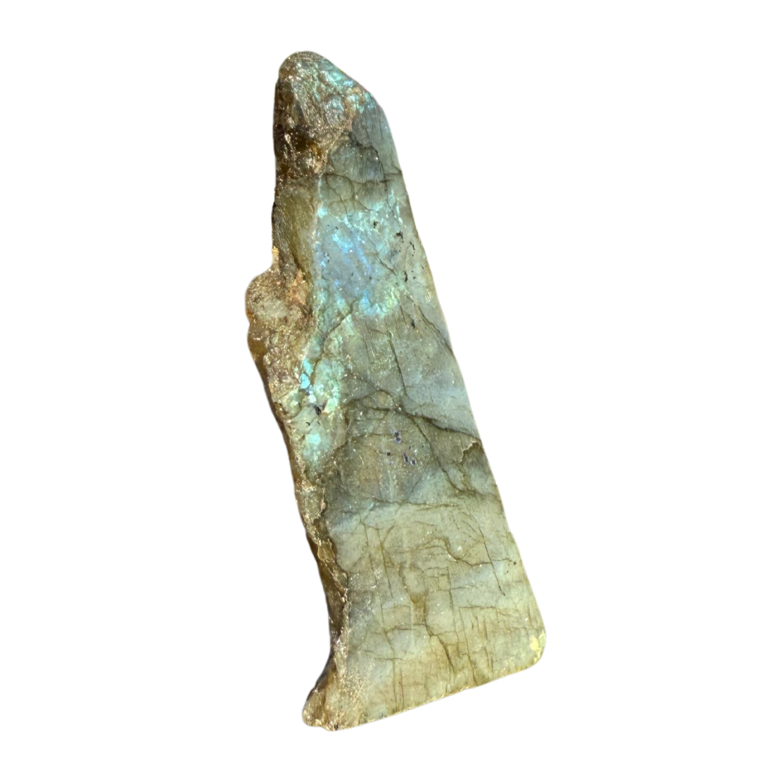 Labradorite Small Freeform